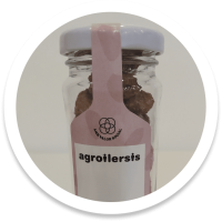 Almendras garrapiñadas 'Agroilersis' 70gr