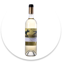 Vino Blanco 'Perro Verde' Rueda